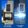 Solar Lighting